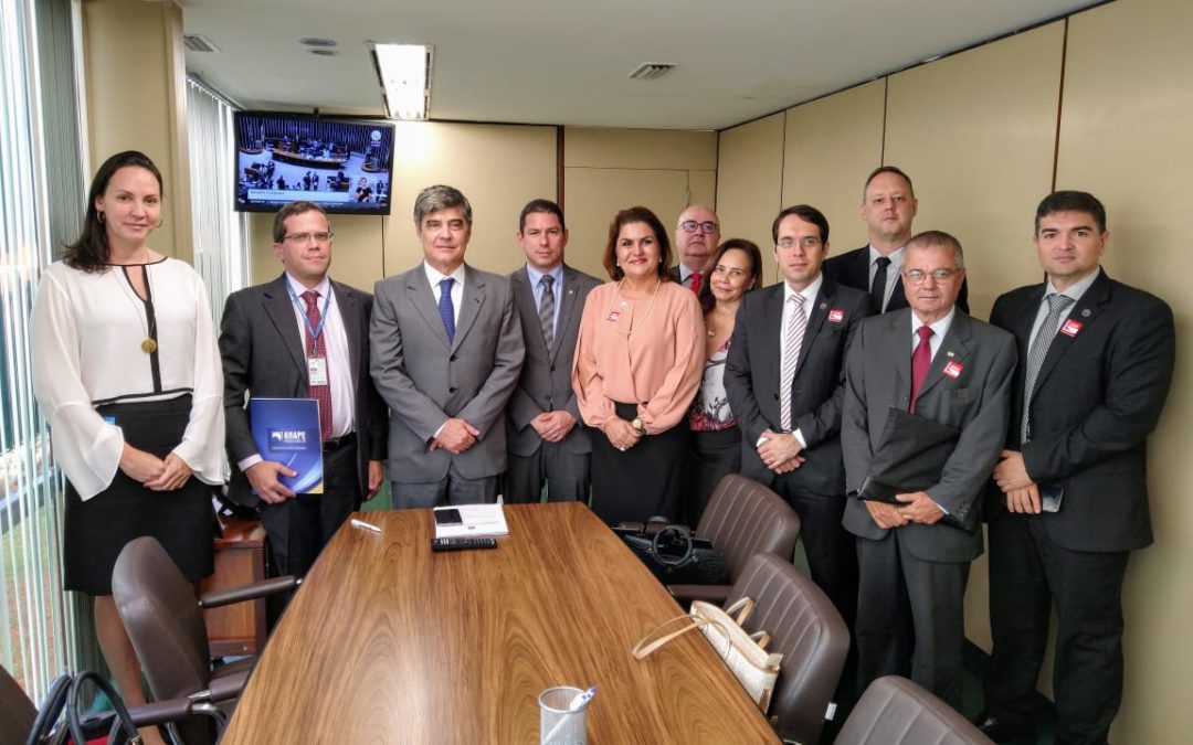 Comitiva da Anape se reúne com presidente da Comissão Especial da PEC 6/2019